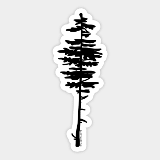 Pine Tree Sticker